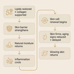 Complete Skin Identical Inflammation System