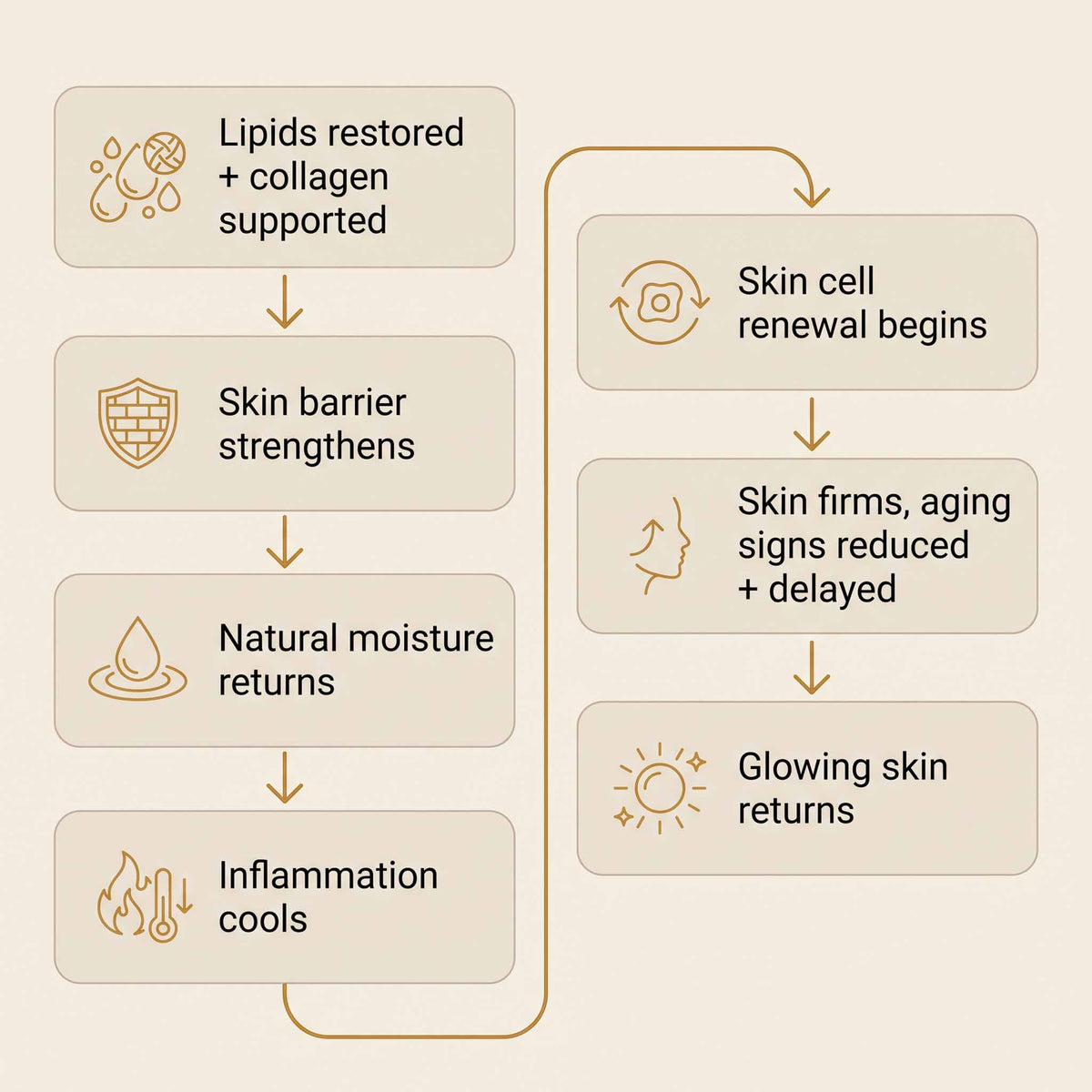 Complete Skin Identical Inflammation System