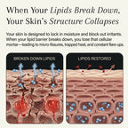 Complete Skin Restoration System r